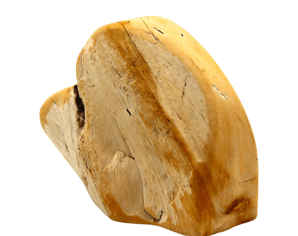 Smooth wooden sculpture on black background.